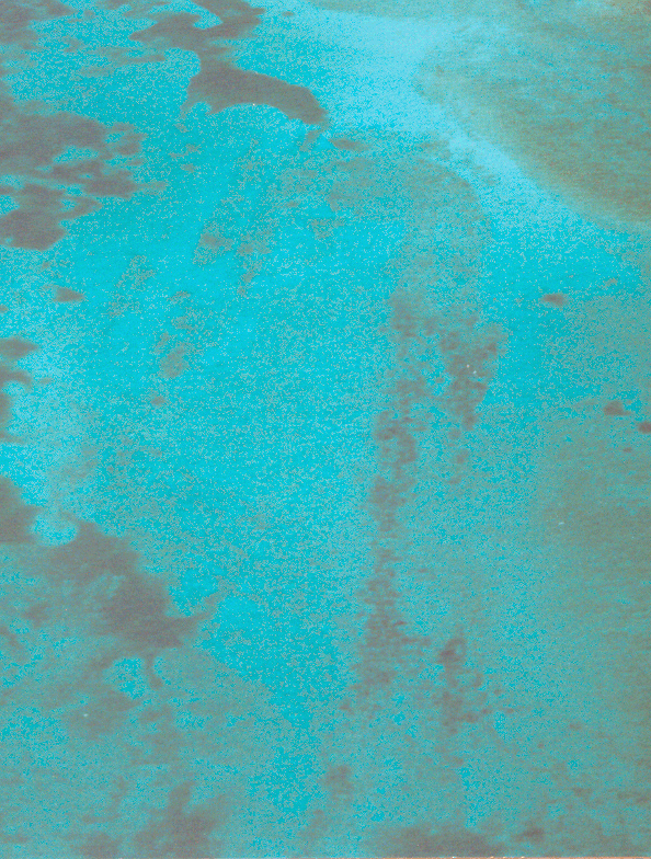 Biminiroad-Brucepic2