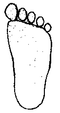Crewoutline