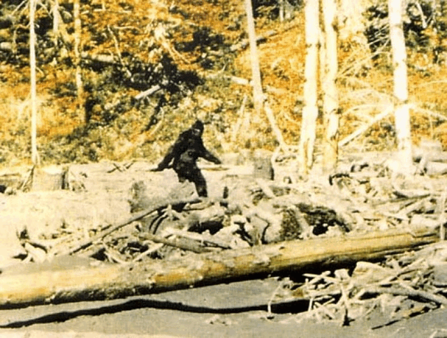 PF-Bigfoot