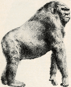 giganto